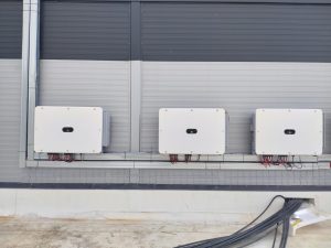 WhatsApp Image 2023-01-26 at 15.36.00